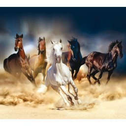 FCS XL 4824 AG Design textilný foto záves delený obrazový Horses - Kone FCSXL 4824, veľkosť 180 x 160 cm