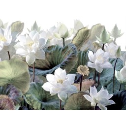 FTNS 1254 AG Design vliesová fototapeta 4-dielna Emboss Flowers - kvety, veľkosť 360 x 270 cm