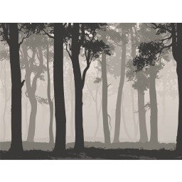 FTNS 1266 AG Design vliesová fototapeta 4-dielna Mystic Forest - Mystický les, veľkosť 360 x 270 cm