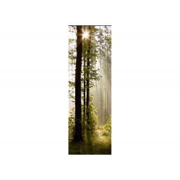 FTNVL 3712 AG Design vliesová fototapeta 1-dielna Morning Forest, veľkosť 90 x 270 cm