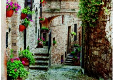 FTN M 2690 AG Design vliesová fototapeta na stenu 1-dielna Old yard, veľkosť 160 x 110 cm