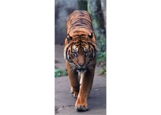 FTN V 2800 Vliesová fototapeta dverná Tiger, veľkosť 90 x 202 cm