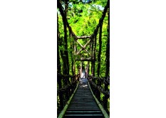 FTN V 2937 Vliesová fototapeta dverná Forest bridge, veľkosť 90 x 202 cm
