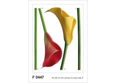 F 0447 AG Design Samolepiace dekorácie - samolepka na stenu - Kaly, veľkosť 65 cm x 85 cm