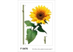 F 0476 AG Design Samolepiace dekorácie - samolepka na stenu - Sunflower, veľkosť 65 cm x 85 cm