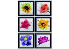 F 1059 AG Design Samolepiace dekorácie - samolepka na stenu - Multi frame, veľkosť 65 cm x 85 cm