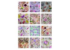 F 1061 AG Design Samolepiace dekorácie - samolepka na stenu - Creative, veľkosť 65 cm x 85 cm