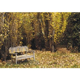 Obrazová fototapety na stenu štvordielna FT 0324 Lavička a stromy na jeseň