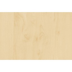 KT0438-643 Samolepiace fólie d-c-fix samolepiaca tapeta breza, veľkosť 67,5 cm x 2 m