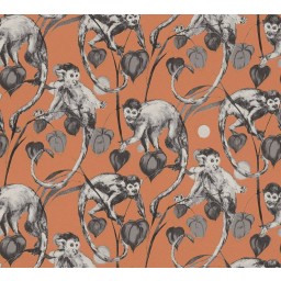 KT4-28973 A.S. Création vliesová tapeta na stenu Michalsky 4 (2024) opice, veľkosť 10,05 m x 53 cm