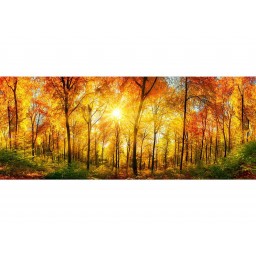 MP-2-0067 Vliesová obrazová panoramatická fototapeta Sunny Forest + lepidlo Bezplatne, veľkosť 375 x 150 cm