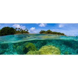 MP-2-0200 Vliesová obrazová panoramatická fototapeta Coral Reef + lepidlo Bezplatne, veľkosť 375 x 150 cm