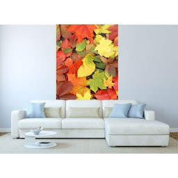 MS-2-0115 Vliesová obrazová fototapeta Colorful Leaves, veľkosť 150 x 250 cm