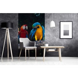 MS-2-0223 Vliesová obrazová fototapeta Coorful Macaw, veľkosť 150 x 250 cm