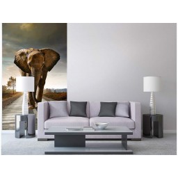 MS-2-0225 Vliesová obrazová fototapeta Walking Elephant, veľkosť 150 x 250 cm