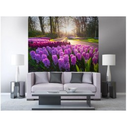 MS-3-0068 Vliesová obrazová fototapeta Hyacinth Flowers, veľkosť 225 x 250 cm