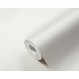 p492470129 A.S. Création vliesová tapeta na stenu Styleguide Colours 2024 jednofarebná, veľkosť 10,05 m x 53 cm