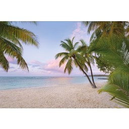 KOMR 825-4 XXL Vliesová fototapeta Komar Paradise Morning, veľkosť 368x248 cm